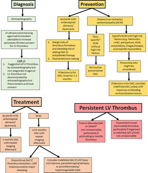 management of lv thrombus|lv thrombus prevention guidelines.